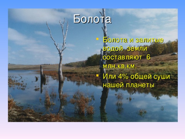 Болота Болота и залитые водой земли составляют 6 млн.кв.км. Или 4% общей суши нашей планеты 