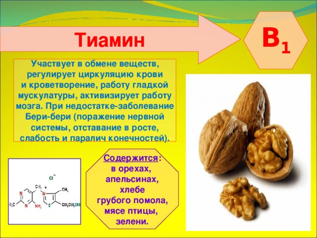  B 1  Тиамин  Участвует в обмене веществ, регулирует циркуляцию крови и кроветворение, работу гладкой мускулатуры, активизирует работу мозга. При недостатке-заболевание Бери-бери (поражение нервной системы, отставание в росте, слабость и паралич конечностей).    Содержится : в орехах, апельсинах,  хлебе грубого помола, мясе птицы, зелени.   