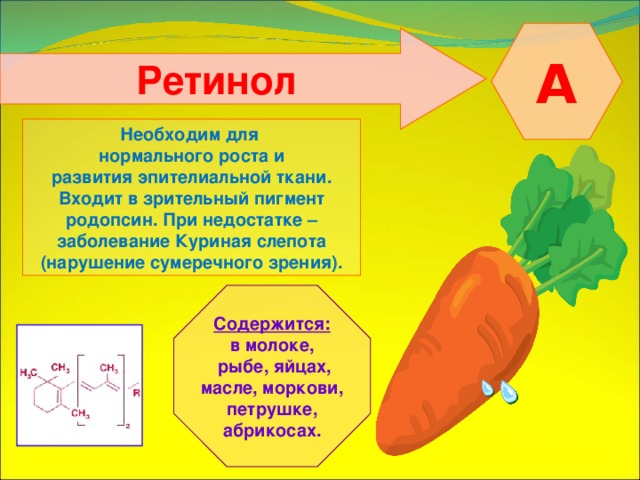 A Ретинол  Необходим для нормального роста и развития эпителиальной ткани. Входит в зрительный пигмент родопсин. При недостатке – заболевание Куриная слепота (нарушение сумеречного зрения). Содержится: в молоке,  рыбе, яйцах, масле, моркови, петрушке, абрикосах. 