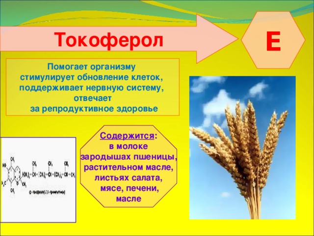  Е  Токоферол Помогает организму стимулирует обновление клеток, поддерживает нервную систему, отвечает  за репродуктивное здоровье  Содержится : в молоке зародышах пшеницы, растительном масле, листьях салата,  мясе, печени, масле  
