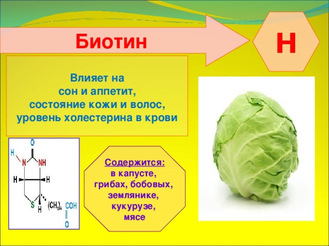  Н  Биотин    Влияет на  сон и аппетит, состояние кожи и волос, уровень холестерина в крови   Содержится: в капусте, грибах, бобовых, землянике, кукурузе, мясе 
