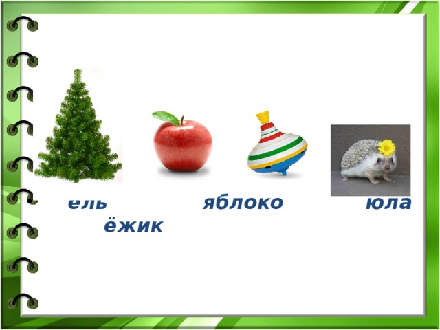  ель яблоко юла ёжик 