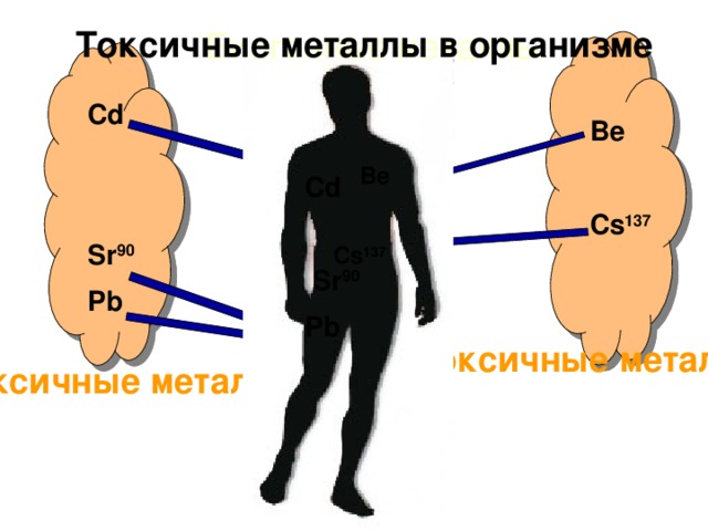 Токсичные металлы в организме Биогенные металлы Cd   Sr 90 Pb Be  Cs 137 Zn  Be  Cs 137 Mg Cd   Sr 90 Pb K Ca Токсичные металлы Токсичные металлы 10 
