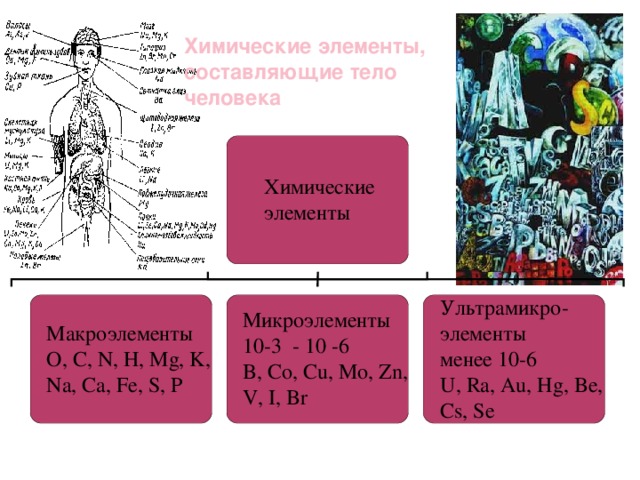 Химические элементы, составляющие тело человека 