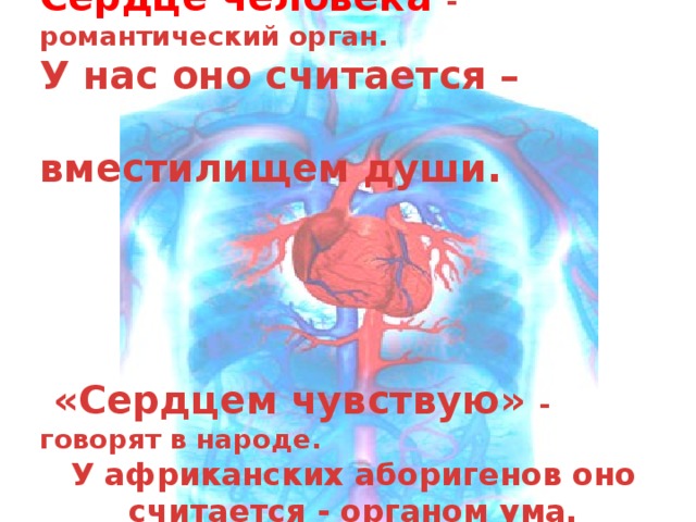 Сердце человека - романтический орган. У нас оно считается –  вместилищем души.      «Сердцем чувствую» - говорят в народе. У африканских аборигенов оно считается - органом ума. 