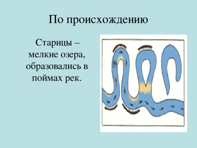 По происхождению  Старицы – мелкие озера, образовались в поймах рек. 