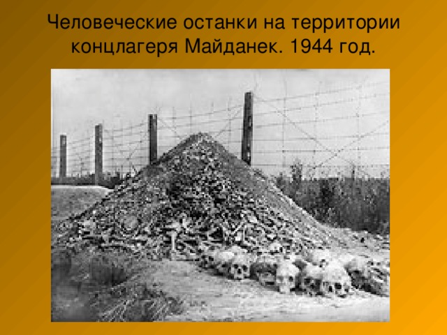 Человеческие останки на территории концлагеря Майданек. 1944 год.   