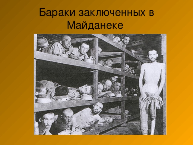 Бараки заключенных в Майданеке 