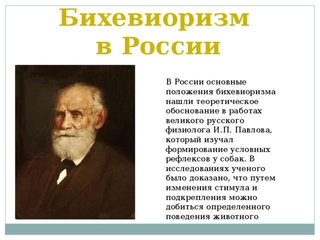 Бихевиоризм  в России В России основные положения бихевиоризма нашли теоретическое обоснование в работах великого русского физиолога И.П. Павлова, который изучал формирование условных рефлексов у собак. В исследованиях ученого было доказано, что путем изменения стимула и подкрепления можно добиться определенного поведения животного 