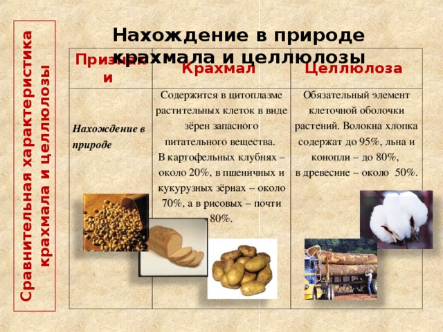  Сравнительная характеристика крахмала и целлюлозы   Нахождение в природе крахмала и целлюлозы Признаки Крахмал   Нахождение в природе Целлюлоза Содержится в цитоплазме растительных клеток в виде зёрен запасного питательного вещества. В картофельных клубнях – около 20%, в пшеничных и кукурузных зёрнах – около 70%, а в рисовых – почти 80%. Обязательный элемент клеточной оболочки растений. Волокна хлопка содержат до 95%, льна и конопли – до 80%, в древесине – около 50%.  