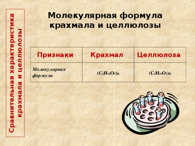  Сравнительная характеристика крахмала и целлюлозы   Молекулярная формула крахмала и целлюлозы Признаки Крахмал Молекулярная формула Целлюлоза  (С 6 Н 10 О 5 ) n   (С 6 Н 10 О 5 ) n  