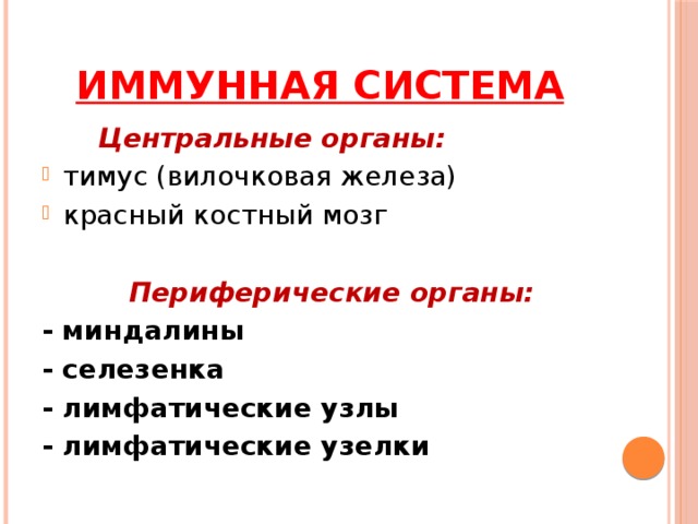 Иммунная система   объединяет органы и ткани, обеспечивающие защиту организма от генетически чужеродных клеток или веществ, поступающих извне или образующихся в организме 