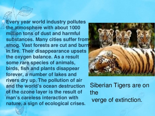 Every year world industry pollutes the atmosphere with about 1000 million tons of dust and harmful substances. Many cities suffer from smog. Vast forests are cut and burn in fire. Their disappearance upsets the oxygen balance. As a result some rare species of animals, birds, fish and plants disappear forever, a number of lakes and rivers dry up. The pollution of air and the world’s ocean destruction of the ozone layer is the result of man’s careless interaction with nature, a sign of ecological crises. Siberian Tigers are on the  verge of extinction. 