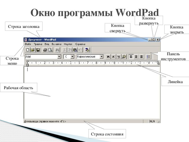 Окно программы WordPad Кнопка развернуть Строка заголовка Кнопка свернуть Кнопка закрыть Панель инструментов Строка меню Линейка Рабочая область Строка состояния 