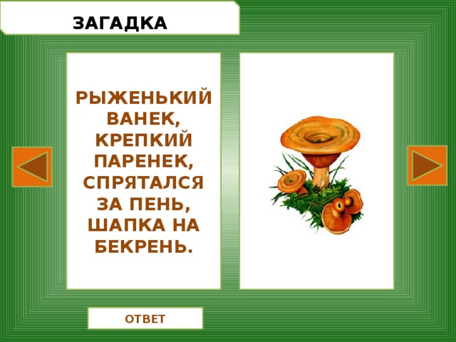  ЗАГАДКА РЫЖЕНЬКИЙ ВАНЕК, КРЕПКИЙ ПАРЕНЕК, СПРЯТАЛСЯ ЗА ПЕНЬ, ШАПКА НА БЕКРЕНЬ. ОТВЕТ 