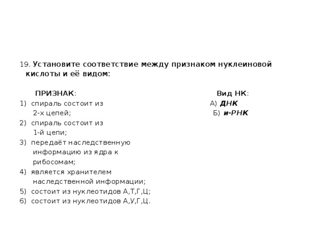 19. Установите соответствие между признаком нуклеиновой кислоты и её видом:  ПРИЗНАК : Вид НК : 1) спираль состоит из А) ДНК  2-х цепей; Б) и-РНК 2) спираль состоит из  1-й цепи; 3) передаёт наследственную  информацию из ядра к  рибосомам; 4) является хранителем  наследственной информации; 5) состоит из нуклеотидов А,Т,Г,Ц; 6) состоит из нуклеотидов А,У,Г,Ц. 