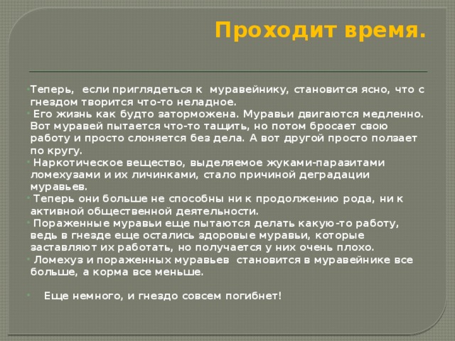 Проходит время.   Теперь, если приглядеться к муравейнику, становится ясно, что с гнездом творится что-то неладное.   Его жизнь как будто заторможена. Муравьи двигаются медленно. Вот муравей пытается что-то тащить, но потом бросает свою работу и просто слоняется без дела. А вот другой просто ползает по кругу.   Наркотическое вещество, выделяемое жуками-паразитами ломехузами и их личинками, стало причиной деградации муравьев.   Теперь они больше не способны ни к продолжению рода, ни к активной общественной деятельности.   Пораженные муравьи еще пытаются делать какую-то работу, ведь в гнезде еще остались здоровые муравьи, которые заставляют их работать, но получается у них очень плохо.   Ломехуз и пораженных муравьев становится в муравейнике все больше, а корма все меньше.  Еще немного, и гнездо совсем погибнет! 
