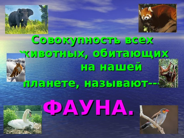 Совокупность всех животных, обитающих на нашей планете, называют--- ФАУНА. 