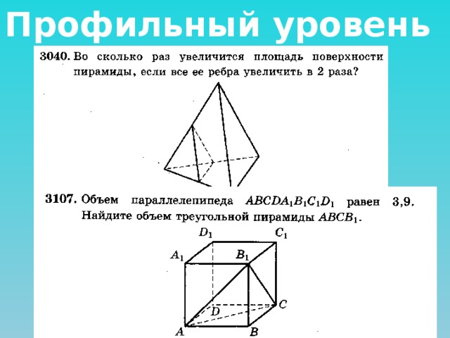 Профильный уровень 