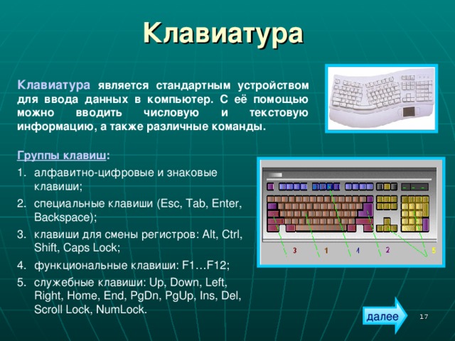 Клавиатура Клавиатура является стандартным устройством для ввода данных в компьютер. С её помощью можно вводить числовую и текстовую информацию, а также различные команды. Группы клавиш : алфавитно-цифровые и знаковые клавиши; специальные клавиши ( Esc, Tab, Enter, Backspace); клавиши для смены регистров: Alt, Ctrl, Shift, Caps Lock ; функциональные клавиши: F1…F12 ; служебные клавиши: Up, Down, Left, Right, Home, End, PgDn, PgUp, Ins, Del, Scroll Lock, NumLock . далее  