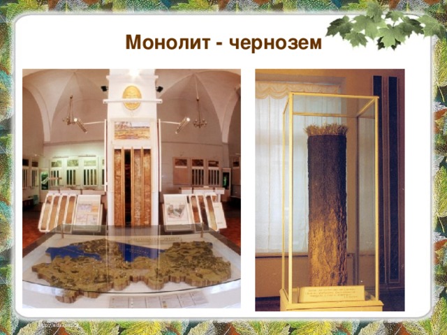Монолит - чернозем 