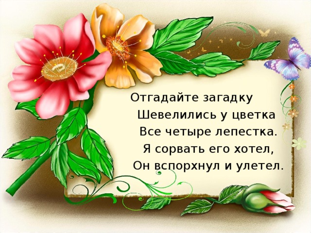 Отгадайте загадку Шевелились у цветка Все четыре лепестка. Я сорвать его хотел, Он вспорхнул и улетел. 