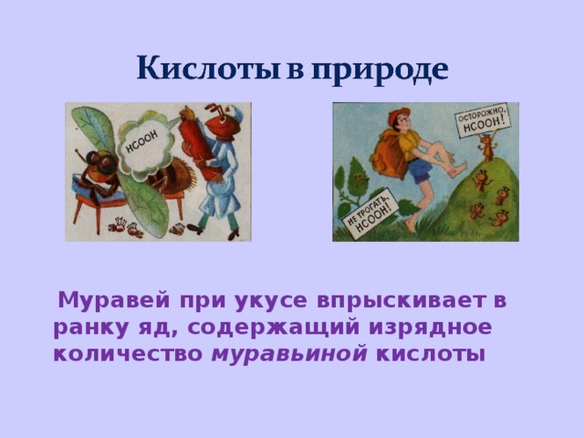  Муравей при укусе впрыскивает в ранку яд, содержащий изрядное количество муравьиной кислоты 