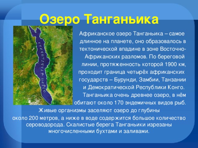 Озеро Танганьика Африканское озеро Танганьика – самое длинное на планете, оно образовалось в  тектонической впадине в зоне Восточно- Африканских разломов. По береговой линии, протяженность которой 1900 км, проходит граница четырёх африканских государств – Бурунди, Замбии, Танзании  и Демократической Республики Конго. Танганьика очень древнее озеро, в нём  обитают около 170 эндемичных видов рыб.  Живые организмы заселяют озеро до глубины около 200 метров, а ниже в воде содержится большое количество сероводорода. Скалистые берега Танганьики изрезаны многочисленными бухтами и заливами. 