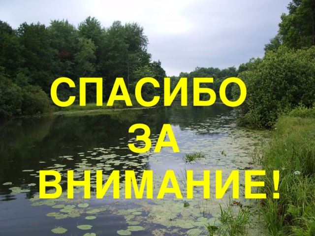 СПАСИБО ЗА  ВНИМАНИЕ! 