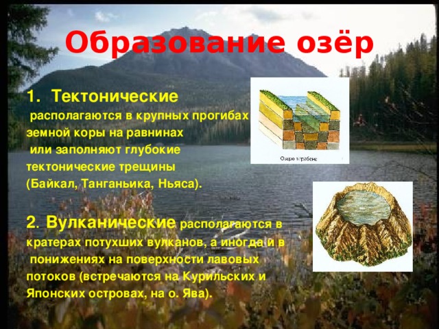 Образование озёр  Тектонические  располагаются в крупных прогибах земной коры на равнинах  или заполняют глубокие тектонические трещины (Байкал, Танганьика, Ньяса).  2 . Вулканические располагаются в кратерах потухших вулканов, а иногда и в  понижениях на поверхности лавовых потоков (встречаются на Курильских и Японских островах, на о. Ява). 