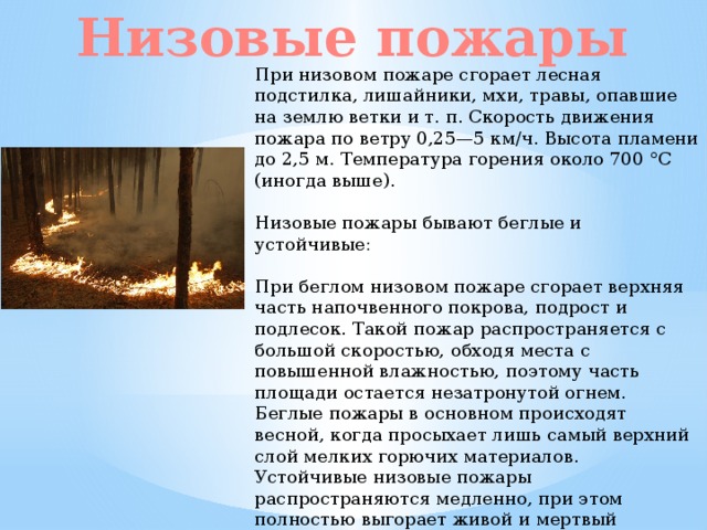 Низовые пожары При низовом пожаре сгорает лесная подстилка, лишайники, мхи, травы, опавшие на землю ветки и т. п. Скорость движения пожара по ветру 0,25—5 км/ч. Высота пламени до 2,5 м. Температура горения около 700 °C (иногда выше). Низовые пожары бывают беглые и устойчивые: При беглом низовом пожаре сгорает верхняя часть напочвенного покрова, подрост и подлесок. Такой пожар распространяется с большой скоростью, обходя места с повышенной влажностью, поэтому часть площади остается незатронутой огнем. Беглые пожары в основном происходят весной, когда просыхает лишь самый верхний слой мелких горючих материалов. Устойчивые низовые пожары распространяются медленно, при этом полностью выгорает живой и мертвый напочвенный покров, сильно обгорают корни и кора деревьев, полностью сгорают подрост и подлесок. Устойчивые пожары возникают преимущественно с середины лета. 