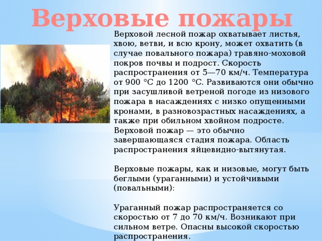 Верховые пожары Верховой лесной пожар охватывает листья, хвою, ветви, и всю крону, может охватить (в случае повального пожара) травяно-моховой покров почвы и подрост. Скорость распространения от 5—70 км/ч. Температура от 900 °C до 1200 °C. Развиваются они обычно при засушливой ветреной погоде из низового пожара в насаждениях с низко опущенными кронами, в разновозрастных насаждениях, а также при обильном хвойном подросте. Верховой пожар — это обычно завершающаяся стадия пожара. Область распространения яйцевидно-вытянутая. Верховые пожары, как и низовые, могут быть беглыми (ураганными) и устойчивыми (повальными): Ураганный пожар распространяется со скоростью от 7 до 70 км/ч. Возникают при сильном ветре. Опасны высокой скоростью распространения. При повальном верховом пожаре огонь движется сплошной стеной от надпочвенного покрова до крон деревьев со скоростью до 8 км/ч. При повальном пожаре лес выгорает полностью. 