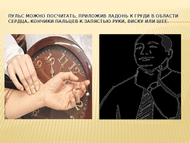 Пульс можно посчитать, приложив ладонь к груди в области сердца, кончики пальцев к запястью руки, виску или шее. 