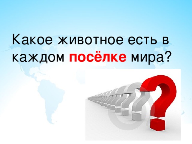 Какое животное есть в каждом  посёлке   мира?  
