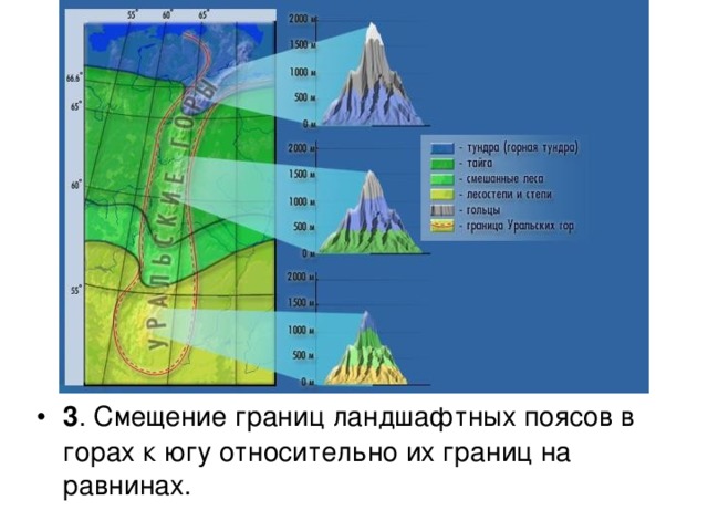 3 . Смещение границ ландшафтных поясов в горах к югу относительно их границ на равнинах. 