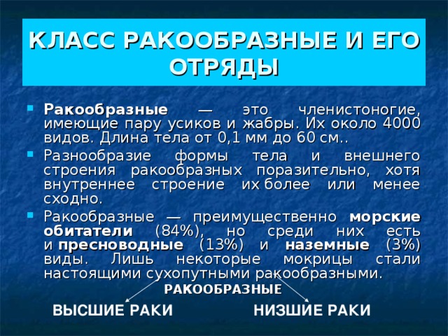 КЛАСС РАКООБРАЗНЫЕ И ЕГО ОТРЯДЫ Ракообразные — это членистоногие, имеющие пару усиков и жабры. Их около 4000 видов. Длина тела от 0,1 мм до 60 см.. Разнообразие формы тела и внешнего строения ракообразных поразительно, хотя внутреннее строение их более или менее сходно. Ракообразные — преимущественно морские обитатели (84%), но среди них есть и  пресноводные (13%) и наземные (3%) виды. Лишь некоторые мокрицы стали настоящими сухопутными ракообразными.  РАКООБРАЗНЫЕ  ВЫСШИЕ РАКИ НИЗШИЕ РАКИ 