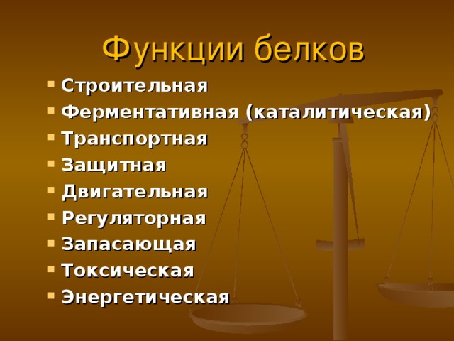 Функции белков Строительная Ферментативная (каталитическая) Транспортная Защитная Двигательная Регуляторная Запасающая Токсическая Энергетическая 