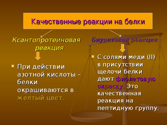 Качественные реакции на белки Биуретовая реакция С солями меди ( II ) в присутствии щелочи белки дают фиолетовую окраску. Это качественная реакция на пептидную группу. Ксантопротеиновая реакция При действии азотной кислоты – белки окрашиваются в желтый цвет. 