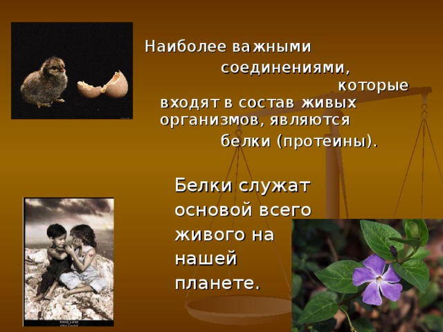 Наиболее важными  соединениями, которые входят в состав живых организмов, являются  белки (протеины). 