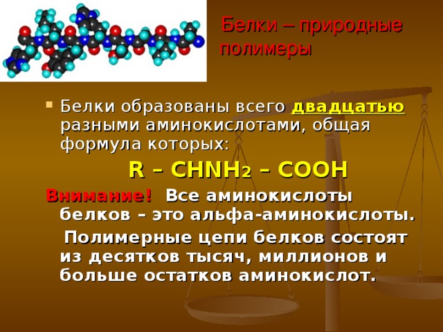 Белки – природные  полимеры Белки образованы всего двадцатью  разными аминокислотами, общая формула которых:  R – CHNH 2 – COOH Внимание! Все аминокислоты белков – это альфа-аминокислоты.  Полимерные цепи белков состоят из десятков тысяч, миллионов и больше остатков аминокислот. 