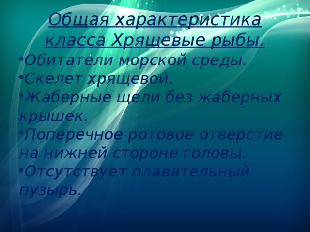 Общая характеристика класса Хрящевые рыбы. Обитатели морской среды. Скелет хрящевой. Жаберные щели без жаберных крышек. Поперечное ротовое отверстие на нижней стороне головы. Отсутствует плавательный пузырь. 