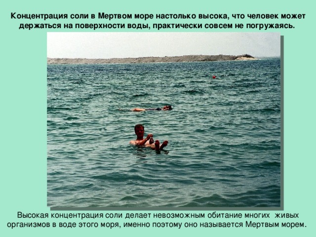 Концентрация соли в Мертвом море настолько высока, что человек может держаться на поверхности воды, практически совсем не погружаясь.  Высокая концентрация соли делает невозможным обитание многих живых организмов в воде этого моря, именно поэтому оно называется Мертвым морем. 