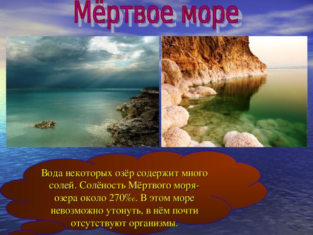 Вода некоторых озёр содержит много солей. Солёность Мёртвого моря-озера около 270 ‰. В этом море невозможно утонуть, в нём почти отсутствуют организмы. 