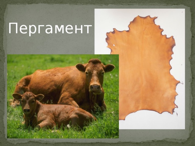 Пергамент 