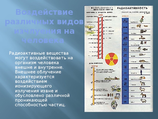 Воздействие различных видов изчлуения на человека Радиоактивные вещества могут воздействовать на организм человека  внешне и внутренне. Внешнее облучение характеризуется воздействием ионизирующего излучения извне и обусловлено различной проникающей способностью частиц. 