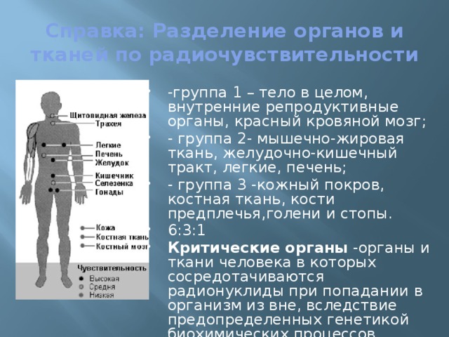 Справка: Разделение органов и тканей по радиочувствительности -группа 1 – тело в целом, внутренние репродуктивные органы, красный кровяной мозг; - группа 2- мышечно-жировая ткань, желудочно-кишечный тракт, легкие, печень; - группа 3 -кожный покров, костная ткань, кости предплечья,голени и стопы. 6:3:1 Критические органы -органы и ткани человека в которых сосредотачиваются радионуклиды при попадании в организм из вне, вследствие предопределенных генетикой биохимических процессов. 