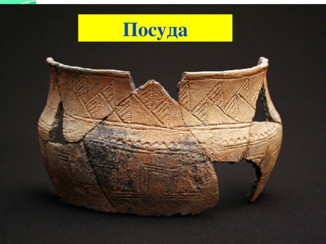 Посуда 
