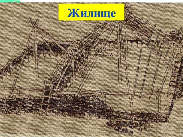 Жилище 
