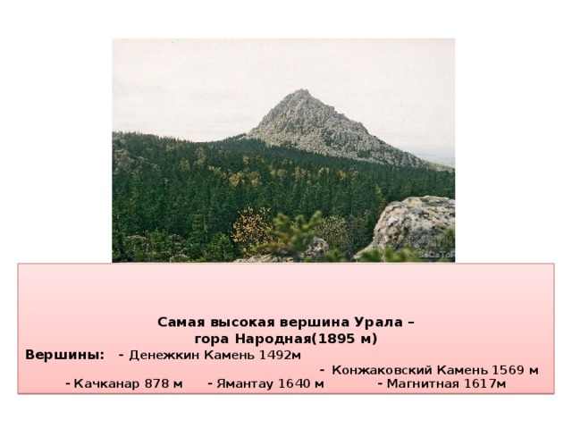     Самая высокая вершина Урала –  гора Народная(1895 м)  Вершины: - Денежкин Камень 1492м - Конжаковский Камень 1569 м  - Качканар 878 м - Ямантау 1640 м - Магнитная 1617м 