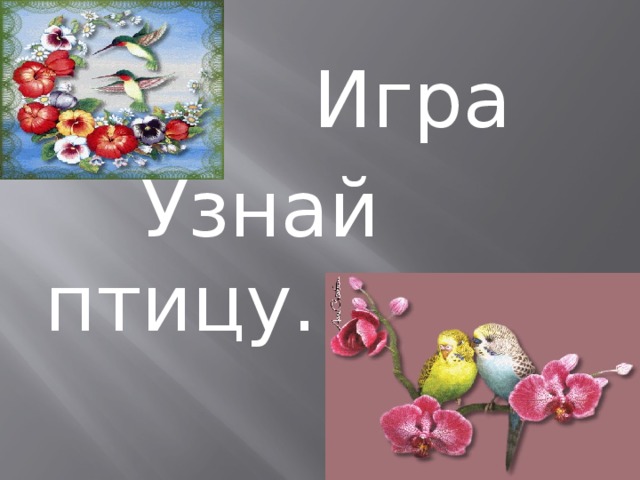  Игра  Узнай птицу. 